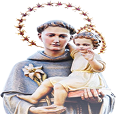 St. Anthonys